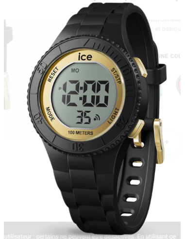 MONTRE BLACK GOLD