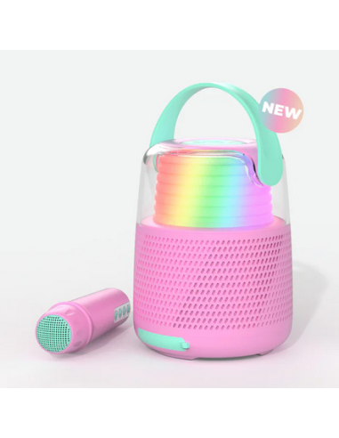 ENCEINTE KARAOKE ROSE