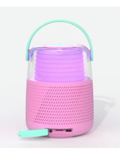 ENCEINTE KARAOKE ROSE 2