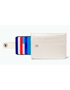 PORTE CARTE STATUE DE ZEUS 2